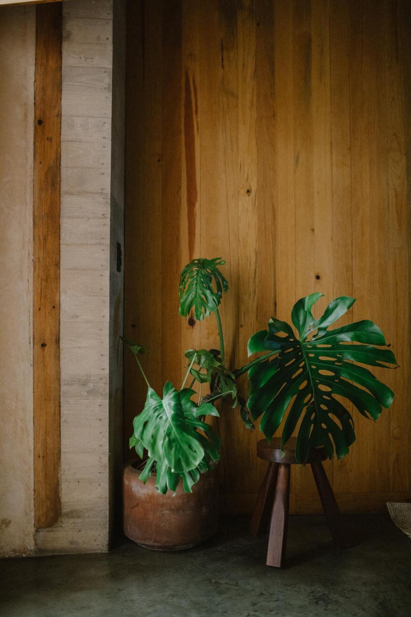Hotel Escondido Oaxaca, A Member Of Design Hotels Kültér fotó